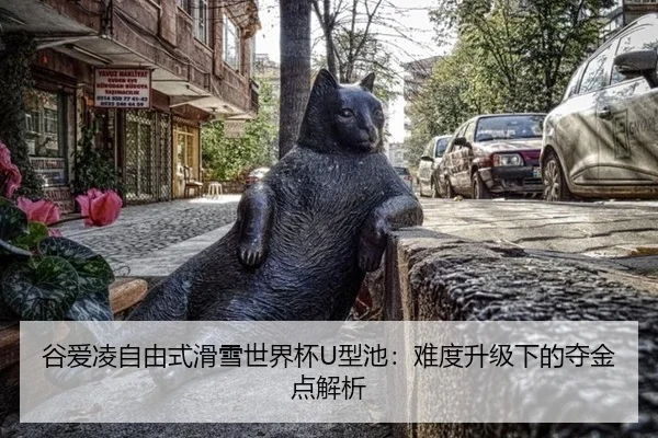 谷爱凌自由式滑雪世界杯U型池：难度升级下的夺金点解析