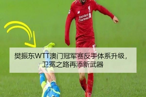 樊振东WTT澳门冠军赛反手体系升级，卫冕之路再添新武器